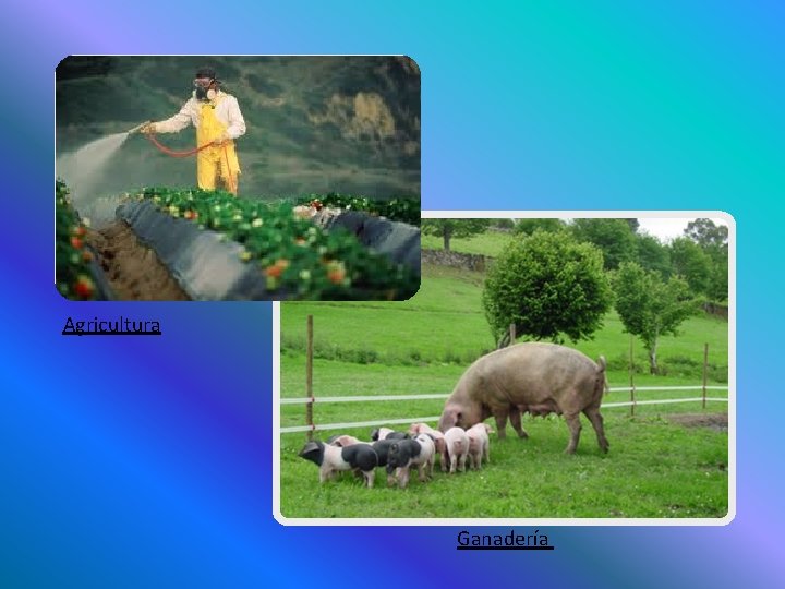 Agricultura Ganadería Agricultura Ganadería