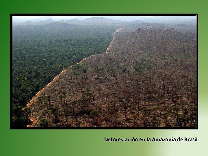 Deforestación en la Amazonia de Brasil Deforestación en la Amazonia de Brasil