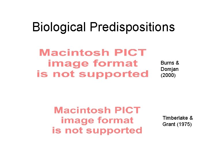 Biological Predispositions Burns & Domjan (2000) Timberlake & Grant (1975) 