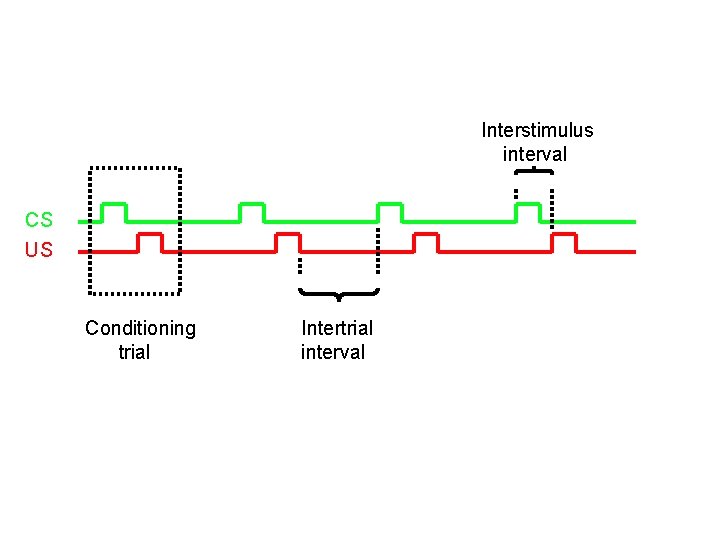 Interstimulus interval CS US Conditioning trial Intertrial interval 