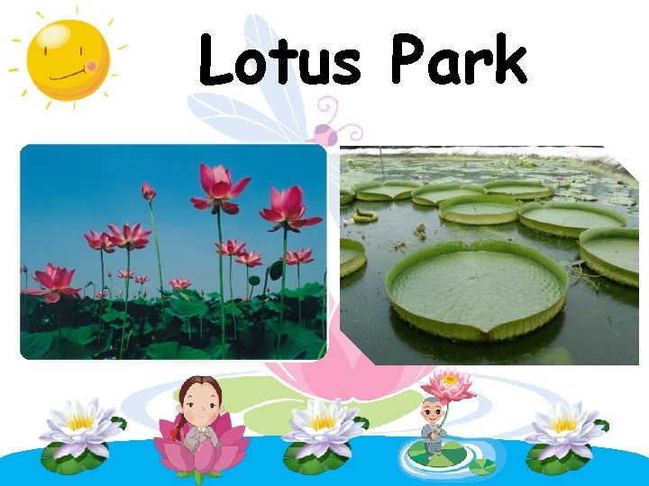 Lotus Park 
