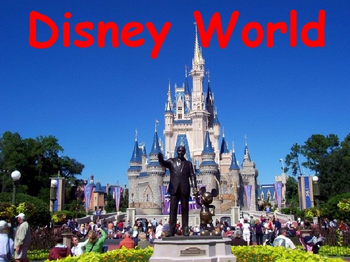 Disney World 