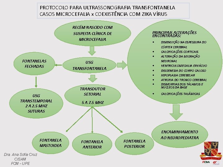 PROTOCOLO PARA ULTRASSONOGRAFIA TRANSFONTANELA CASOS MICROCEFALIA x COEXISTÊNCIA COM ZIKA VÍRUS RECÉM NASCIDO COM
