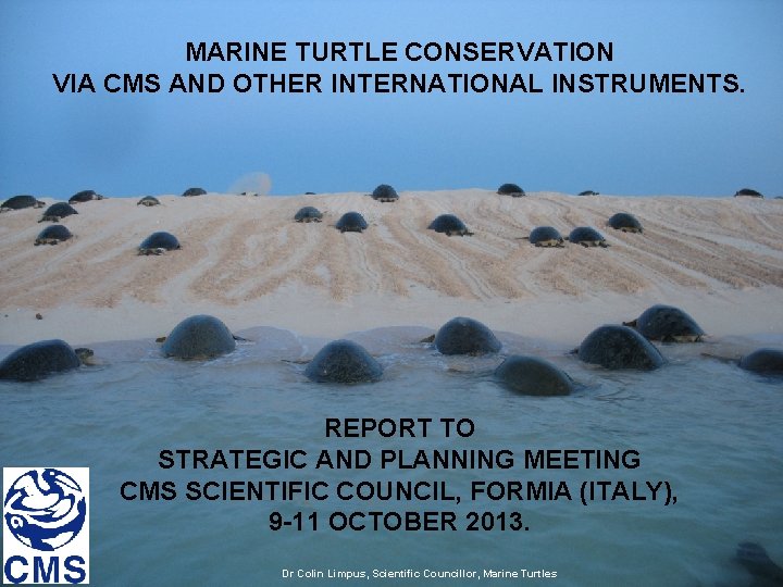 MARINE TURTLE CONSERVATION VIA CMS AND OTHER INTERNATIONAL INSTRUMENTS. REPORT TO STRATEGIC AND PLANNING