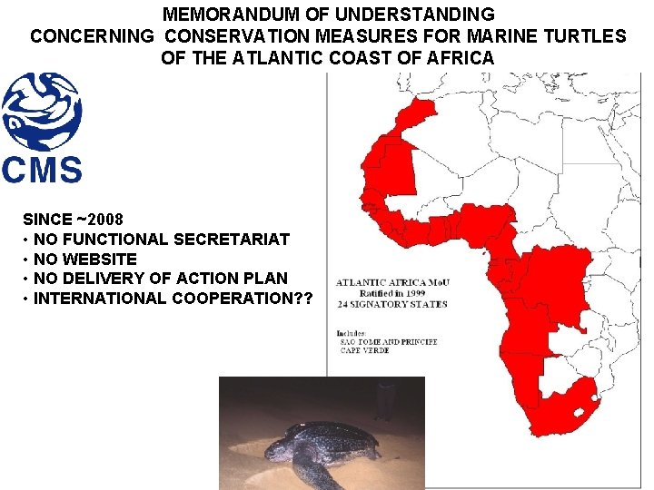 MEMORANDUM OF UNDERSTANDING CONCERNING CONSERVATION MEASURES FOR MARINE TURTLES OF THE ATLANTIC COAST OF