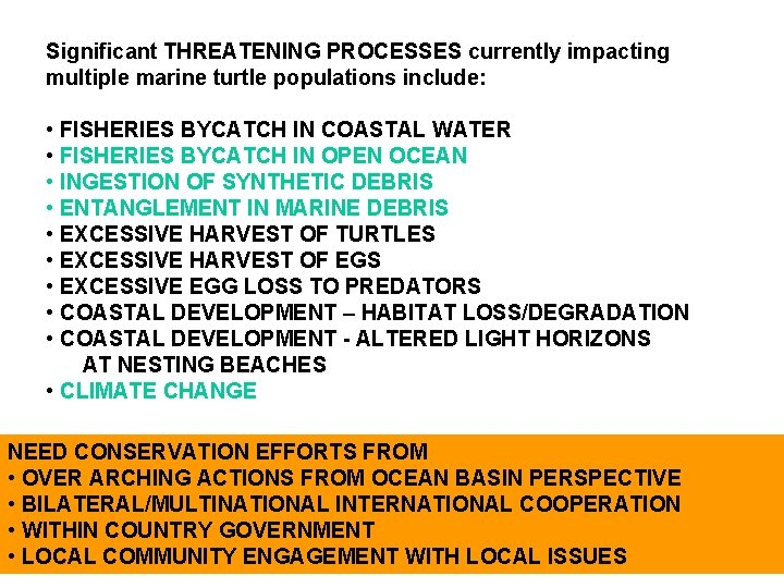 Significant THREATENING PROCESSES currently impacting multiple marine turtle populations include: • FISHERIES BYCATCH IN