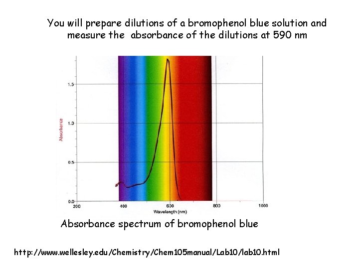 You will prepare dilutions of a bromophenol blue solution and measure the absorbance of