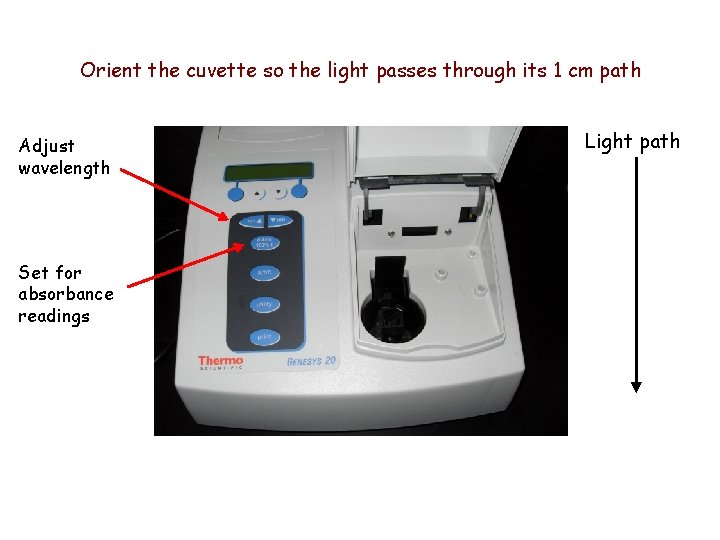 Orient the cuvette so the light passes through its 1 cm path Adjust wavelength