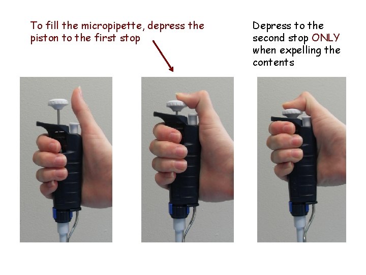 To fill the micropipette, depress the piston to the first stop Depress to the