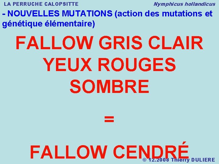 Nymphicus hollandicus LA PERRUCHE CALOPSITTE - NOUVELLES MUTATIONS (action des mutations et génétique élémentaire)