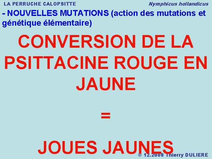 Nymphicus hollandicus LA PERRUCHE CALOPSITTE - NOUVELLES MUTATIONS (action des mutations et génétique élémentaire)