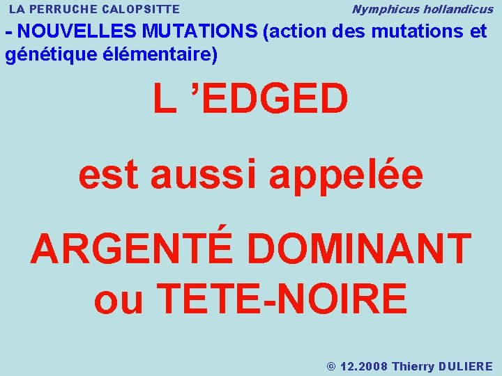 LA PERRUCHE CALOPSITTE Nymphicus hollandicus - NOUVELLES MUTATIONS (action des mutations et génétique élémentaire)