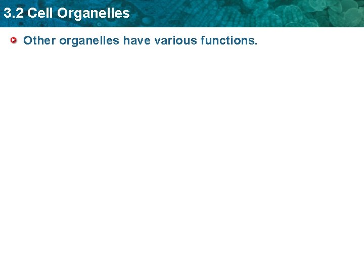 3. 2 Cell Organelles Other organelles have various functions. 