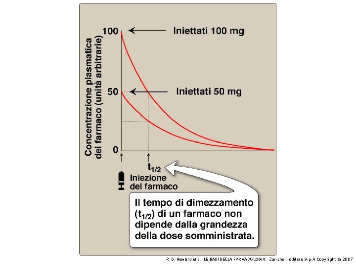 R. D. Howland et al. , LE BASI DELLA FARMACOLOGIA, Zanichelli editore S. p.