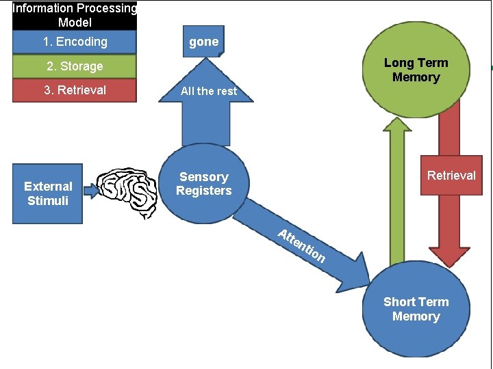 Information Processing Model 1. Encoding gone Long Term Memory 2. Storage 3. Retrieval External