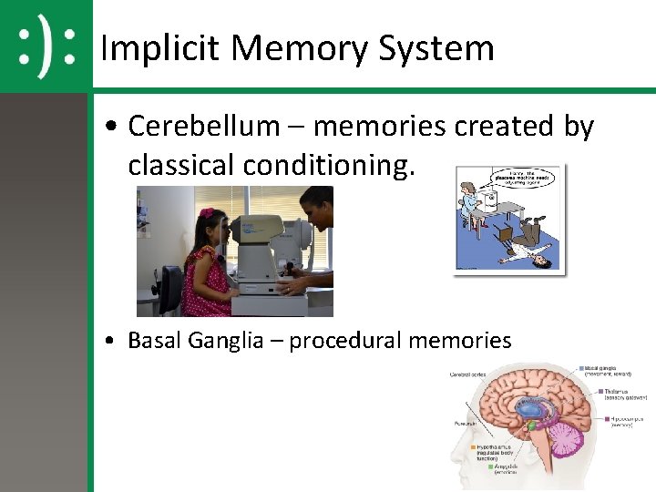 Implicit Memory System • Cerebellum – memories created by classical conditioning. • Basal Ganglia
