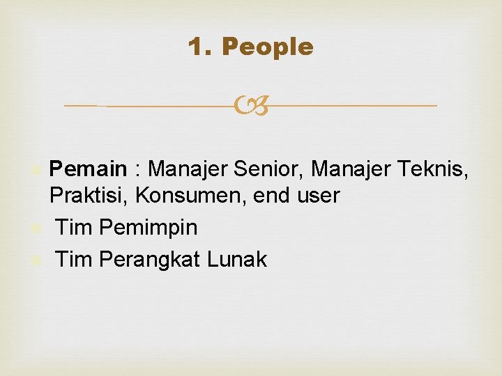 1. People Pemain : Manajer Senior, Manajer Teknis, Praktisi, Konsumen, end user n Tim