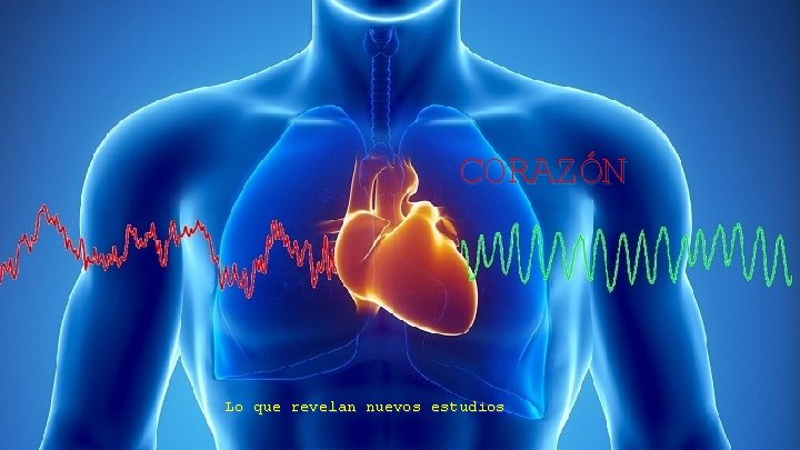 CORAZÓN Lo que revelan nuevos estudios 
