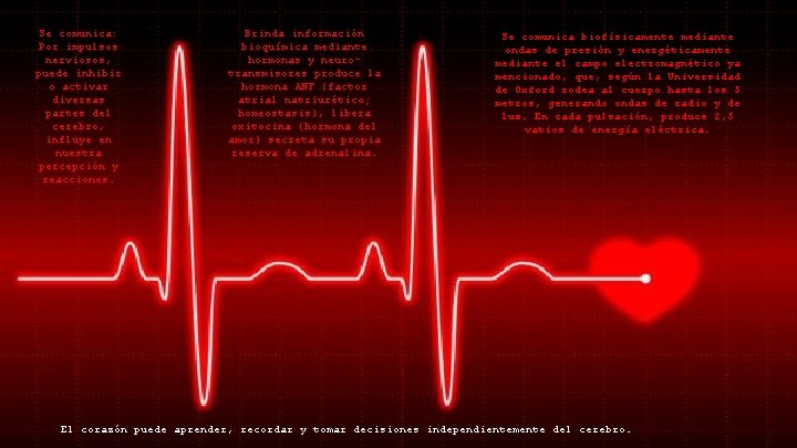 Se comunica: Por impulsos nerviosos, puede inhibir o activar diversas partes del cerebro, influye