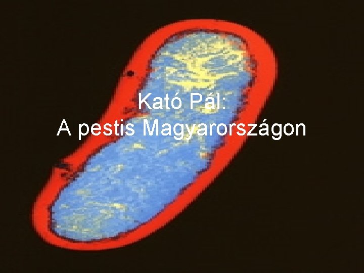 Kató Pál: A pestis Magyarországon 