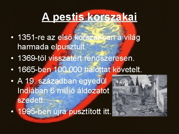 A pestis korszakai • 1351 -re az első korszakban a világ harmada elpusztult. •