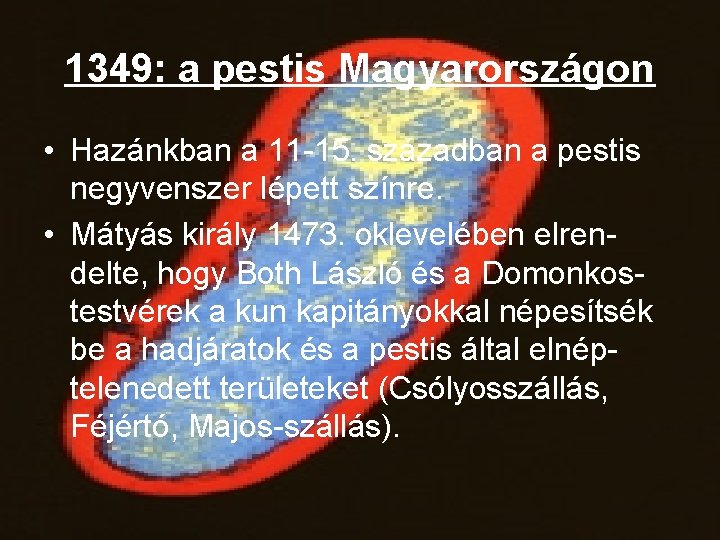 1349: a pestis Magyarországon • Hazánkban a 11 -15. században a pestis negyvenszer lépett