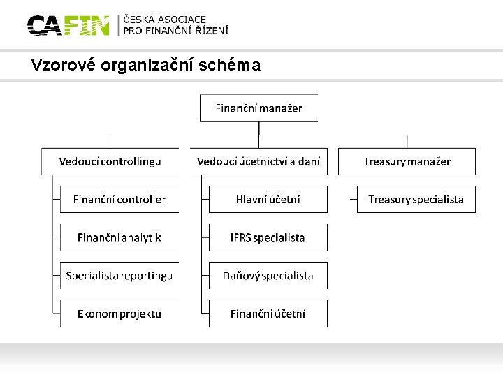 Vzorové organizační schéma 