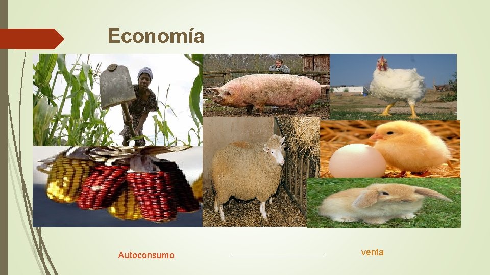 Economía Autoconsumo venta 