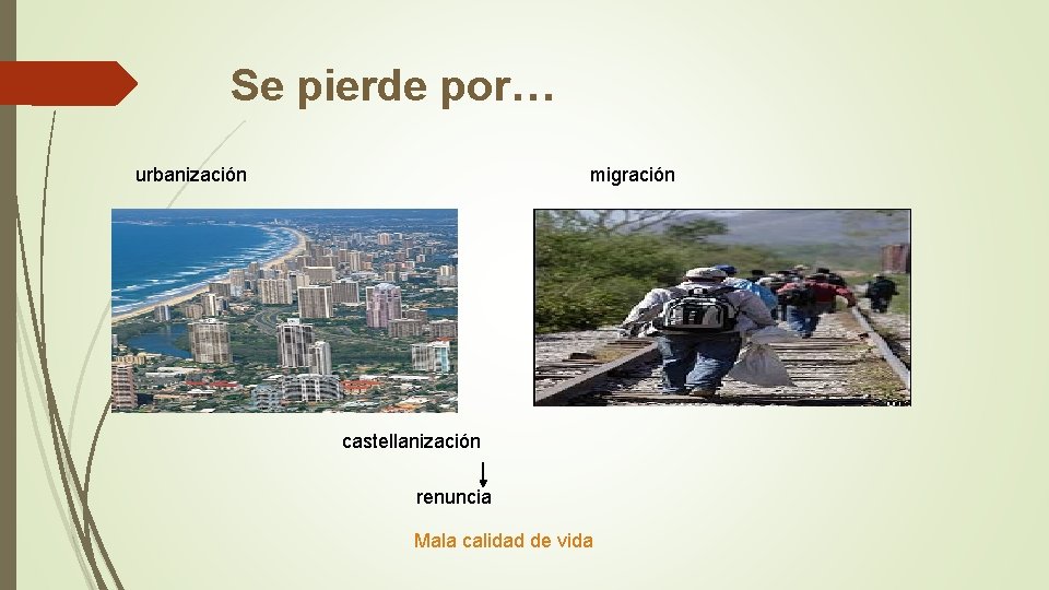 Se pierde por… urbanización migración castellanización renuncia Mala calidad de vida 