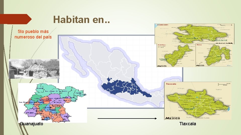 Habitan en. . 5 to pueblo más numeroso del país Guanajuato Tlaxcala 