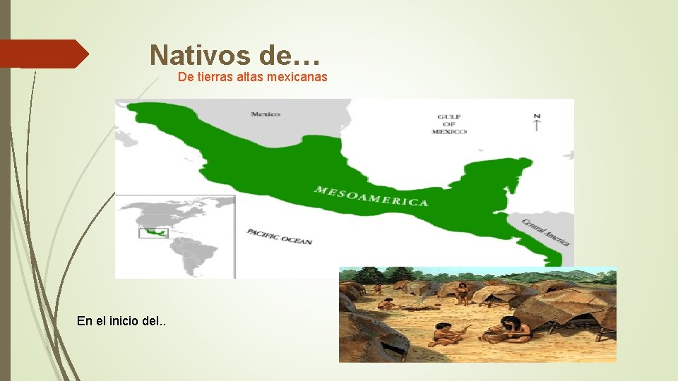 Nativos de… De tierras altas mexicanas En el inicio del. . 