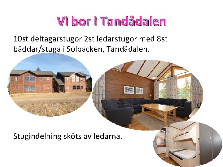 Vi bor i Tandådalen 10 st deltagarstugor 2 st ledarstugor med 8 st bäddar/stuga