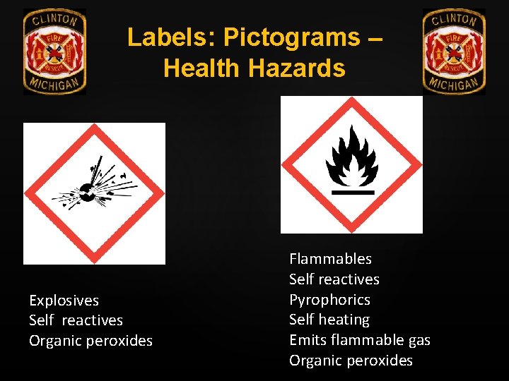 Labels: Pictograms – Health Hazards Explosives Self reactives Organic peroxides Flammables Self reactives Pyrophorics