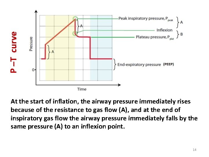 P –T curve At the start of inflation, the airway pressure immediately rises because