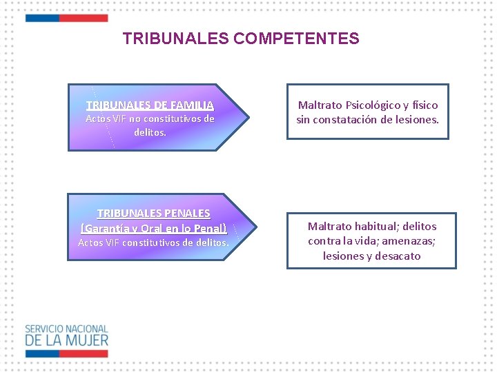 TRIBUNALES COMPETENTES TRIBUNALES DE FAMILIA Actos VIF no constitutivos de delitos. TRIBUNALES PENALES (Garantía