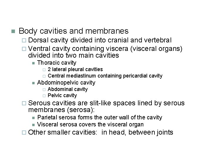 n Body cavities and membranes ¨ Dorsal cavity divided into cranial ¨ Ventral cavity