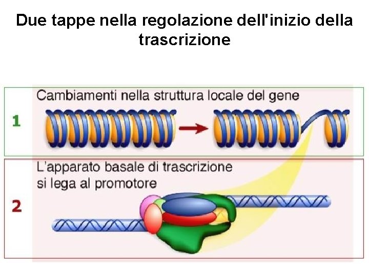 Due tappe nella regolazione dell'inizio della trascrizione 