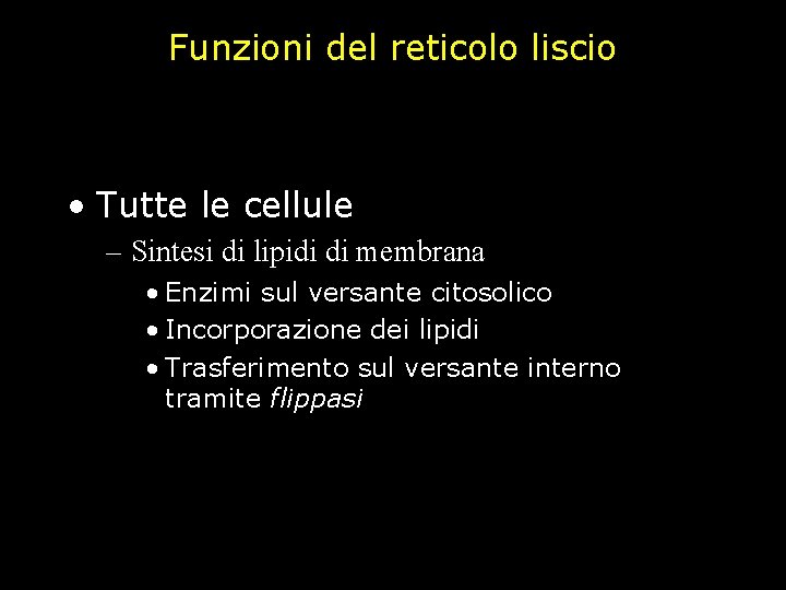 Funzioni del reticolo liscio • Tutte le cellule – Sintesi di lipidi di membrana