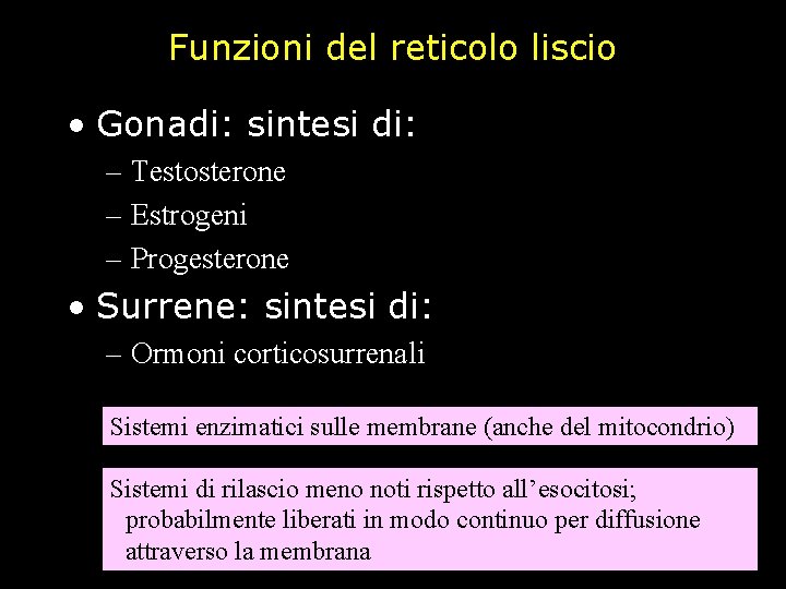 Funzioni del reticolo liscio • Gonadi: sintesi di: – Testosterone – Estrogeni – Progesterone