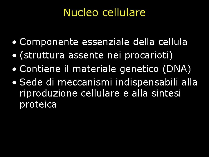 Nucleo cellulare • Componente essenziale della cellula • (struttura assente nei procarioti) • Contiene