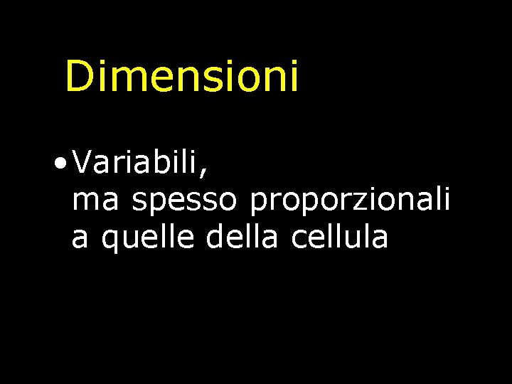 Dimensioni • Variabili, ma spesso proporzionali a quelle della cellula 
