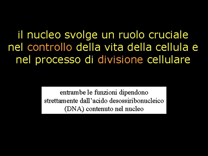 il nucleo svolge un ruolo cruciale nel controllo della vita della cellula e nel