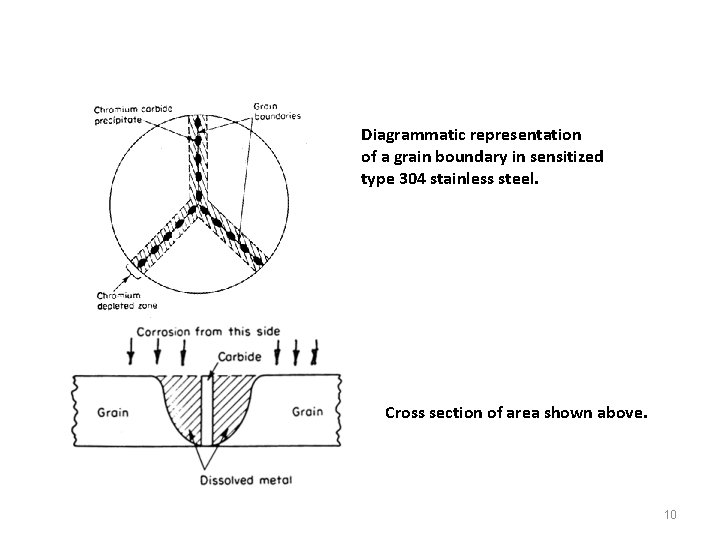 Diagrammatic representation of a grain boundary in sensitized type 304 stainless steel. Cross section