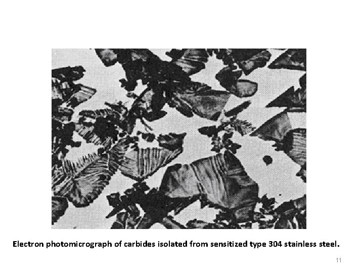 Electron photomicrograph of carbides isolated from sensitized type 304 stainless steel. 11 