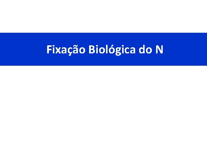 Fixação Biológica do N 