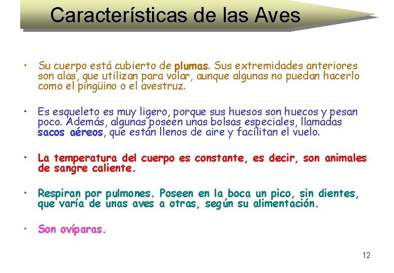 Características de las Aves • Su cuerpo está cubierto de plumas. Sus extremidades anteriores