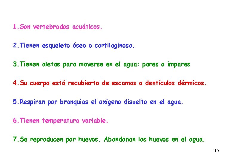 1. Son vertebrados acuáticos. 2. Tienen esqueleto óseo o cartilaginoso. 3. Tienen aletas para