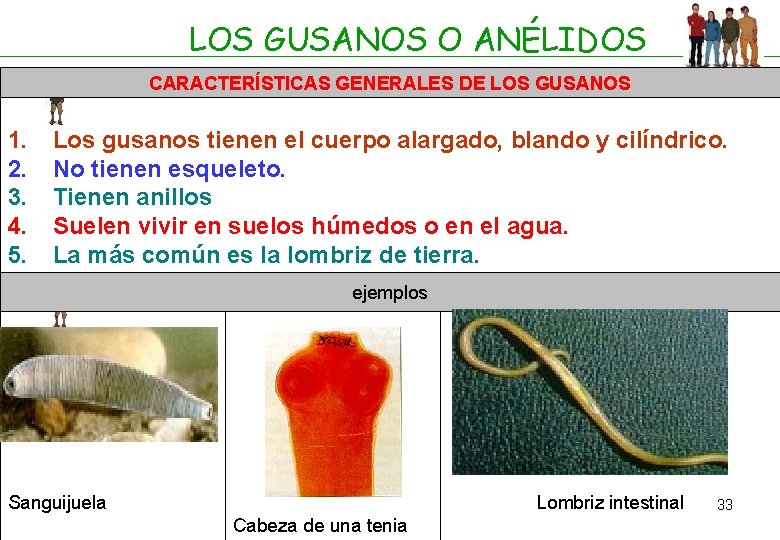 LOS GUSANOS O ANÉLIDOS CARACTERÍSTICAS GENERALES DE LOS GUSANOS 1. 2. 3. 4. 5.