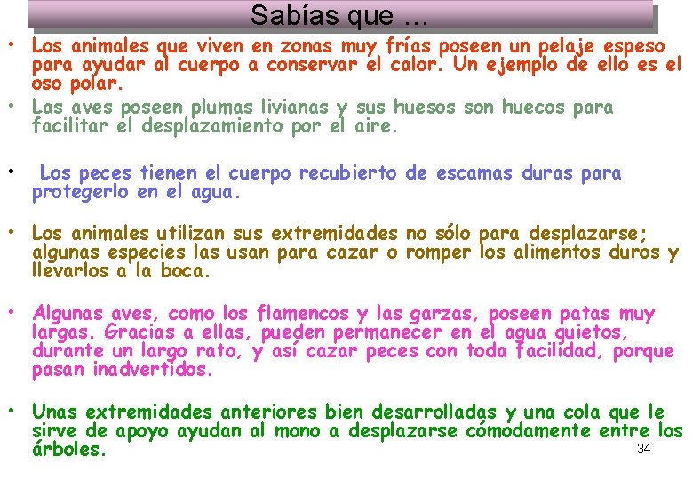 Sabías que … • Los animales que viven en zonas muy frías poseen un