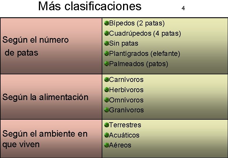 Más clasificaciones 4 Según el número de patas Bípedos (2 patas) Cuadrúpedos (4 patas)